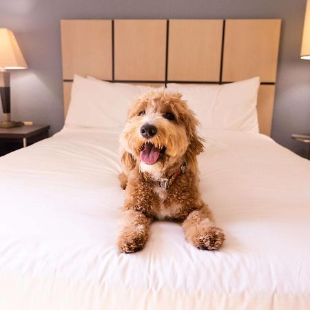 Sonesta Simply Suites Pittsburgh Airport Imperial Dış mekan fotoğraf